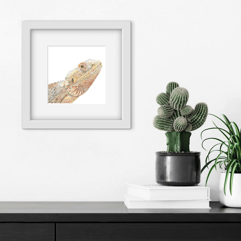 Framed picture of a bearded dragon lizard drawing on a wall with a cactus plant and books below.