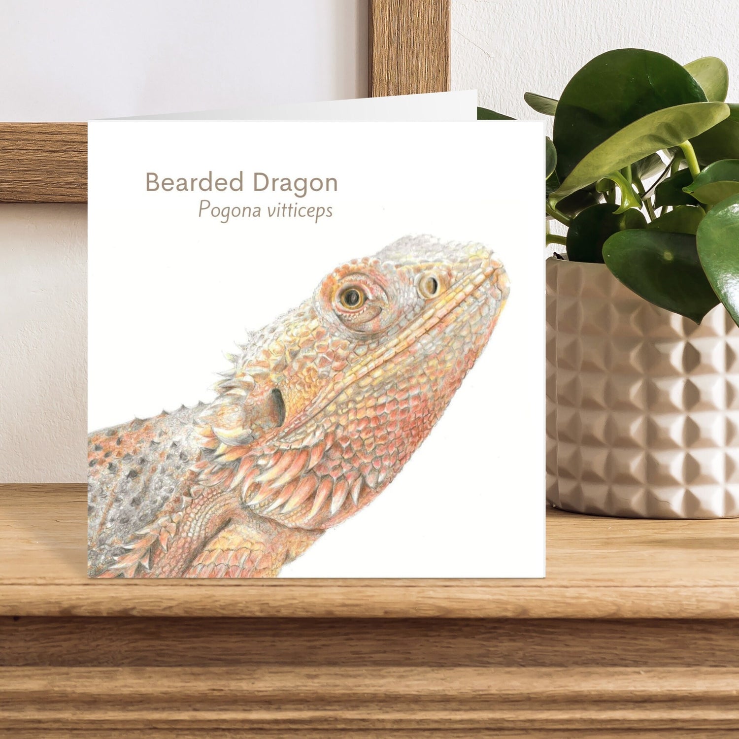 Card with a bearded dragon illustration on a wooden surface with a plant in the background