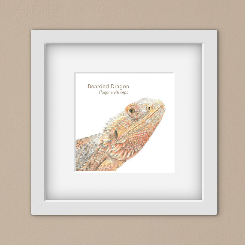 Framed artwork of a bearded dragon on a beige background