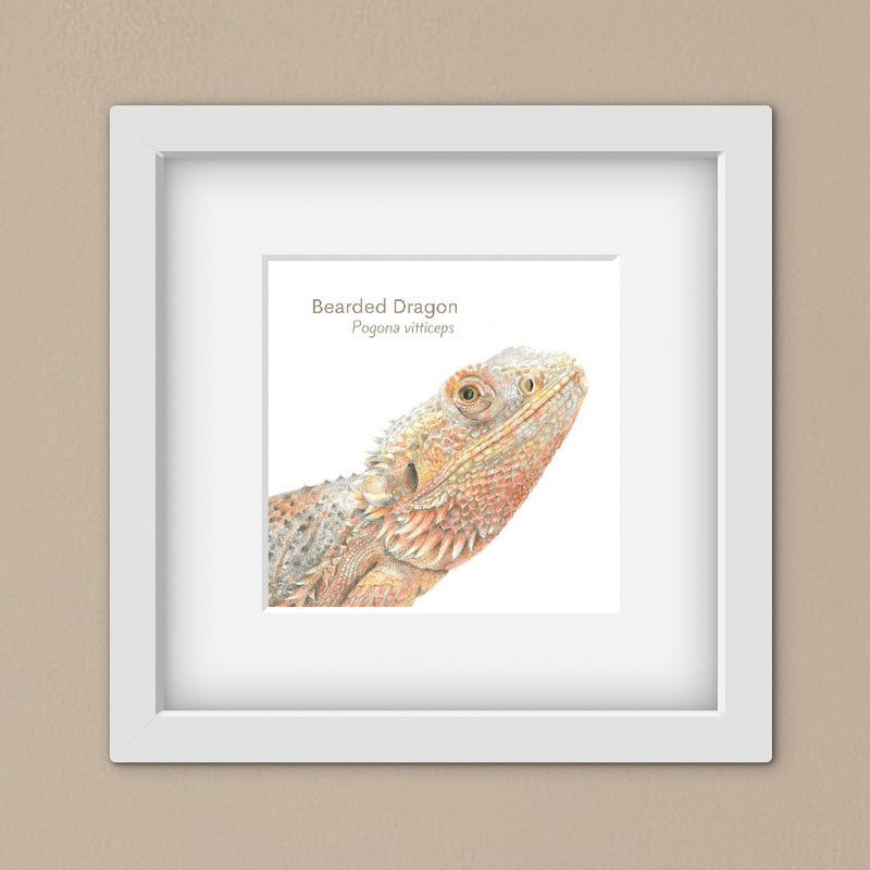 Framed artwork of a bearded dragon on a beige background