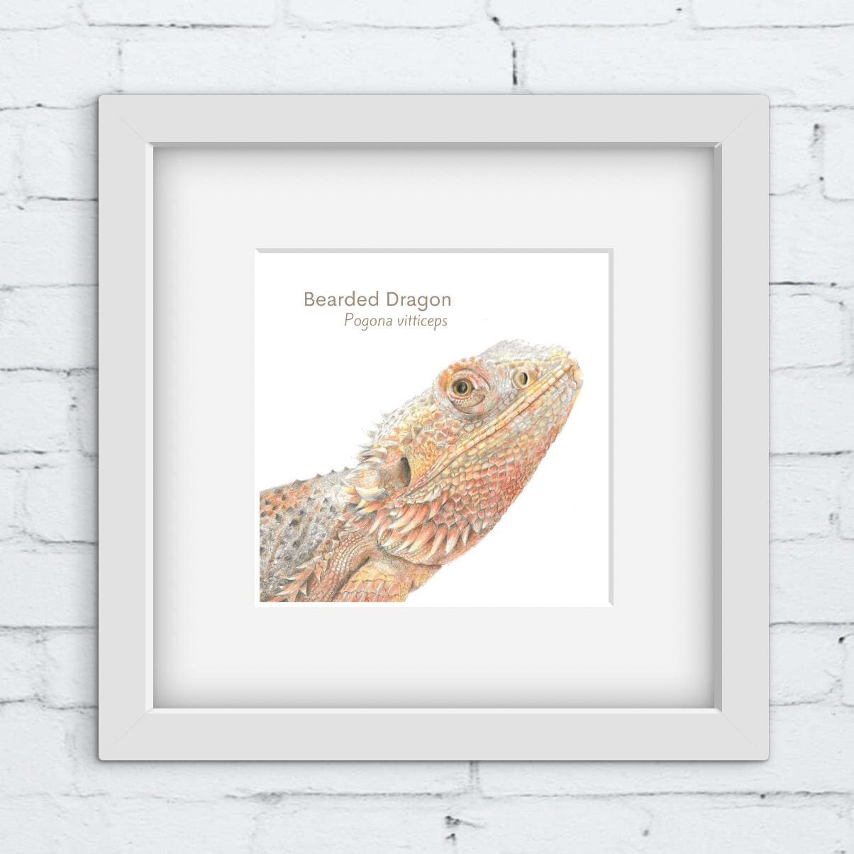 Framed picture of a hand drawn bearded dragon on a white brick wall background