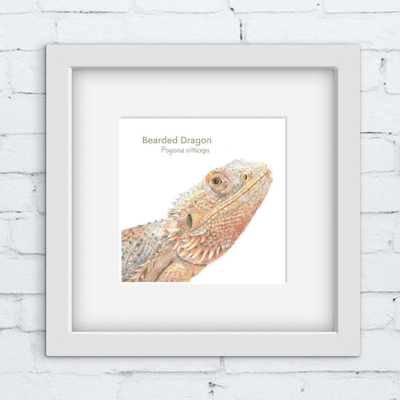 Framed picture of a hand drawn bearded dragon on a white brick wall background