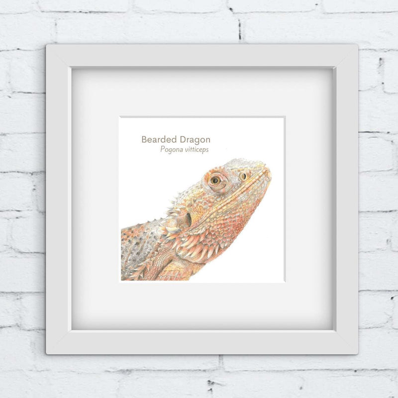 Framed picture of a hand drawn bearded dragon on a white brick wall background
