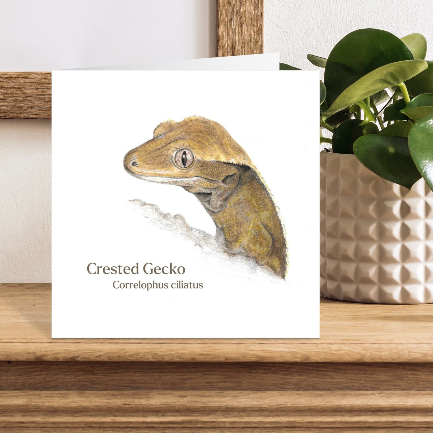 Card with a crested gecko illustration on a wooden surface with a plant in the background