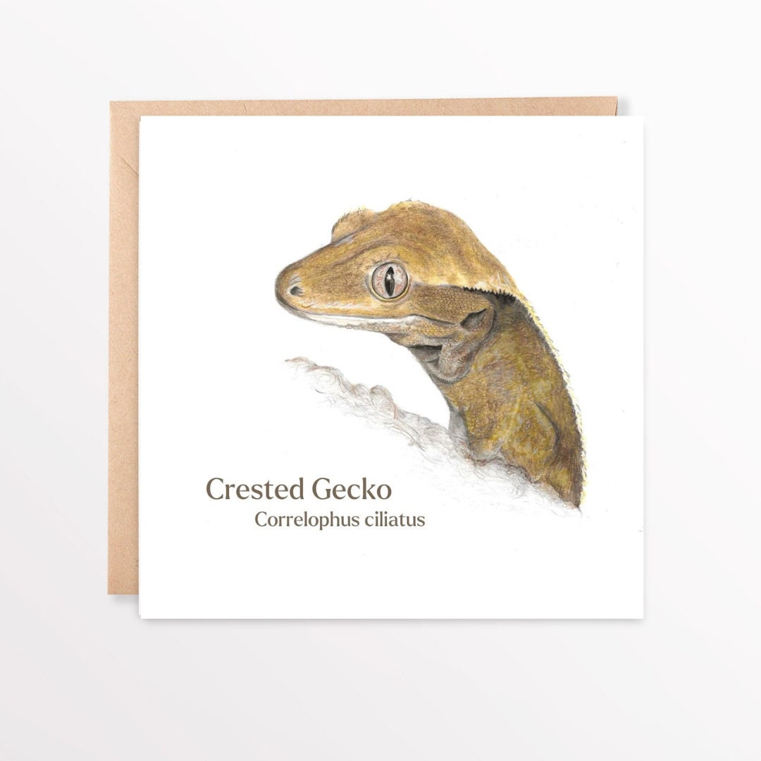 Crested Gecko illustration on a greeting card with a white background