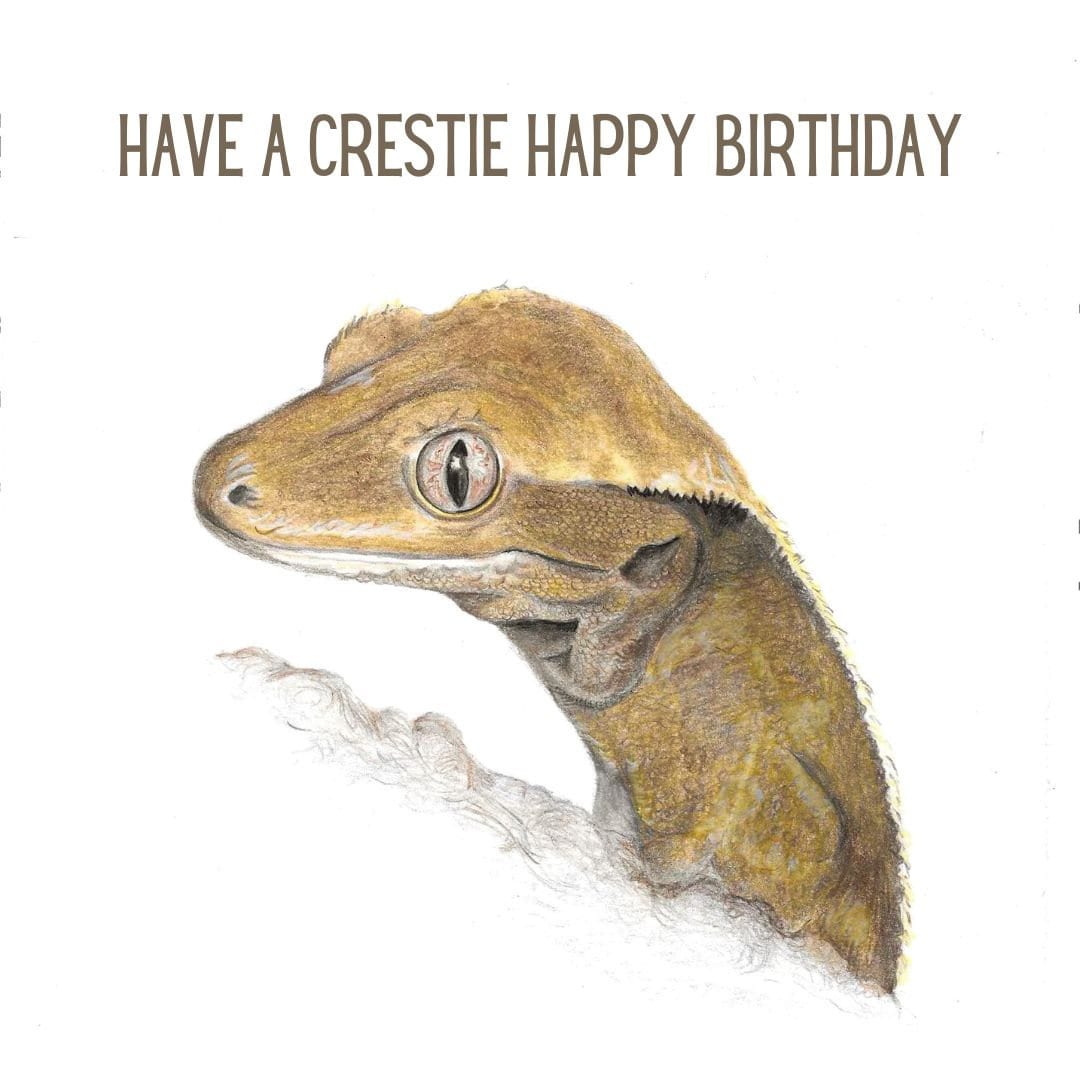 Birthday card with a crested gecko illustration and text 'Have a Crestie Happy Birthday' on a white background.
