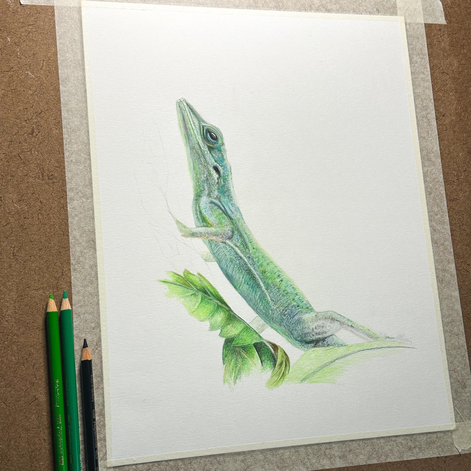 Colorful drawing of a green lizard on a white sheet of paper on the drawing board with colored pencils.