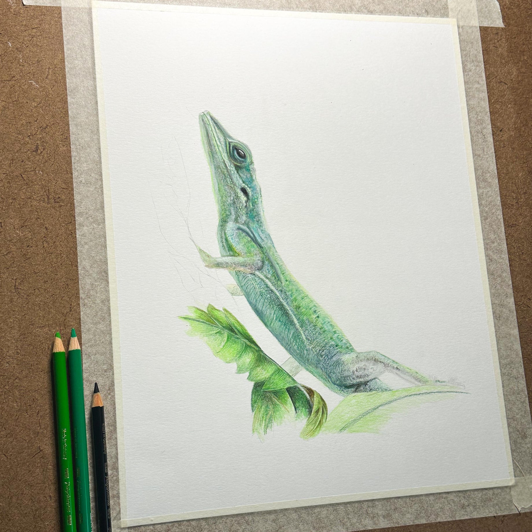 Colorful drawing of a green lizard on a white sheet of paper on the drawing board with colored pencils.