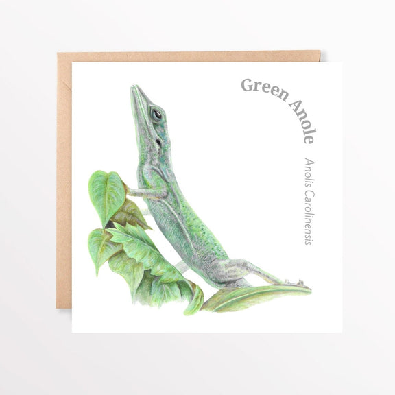 Greeting card with a green anole illustration on a white background with brown envelope.