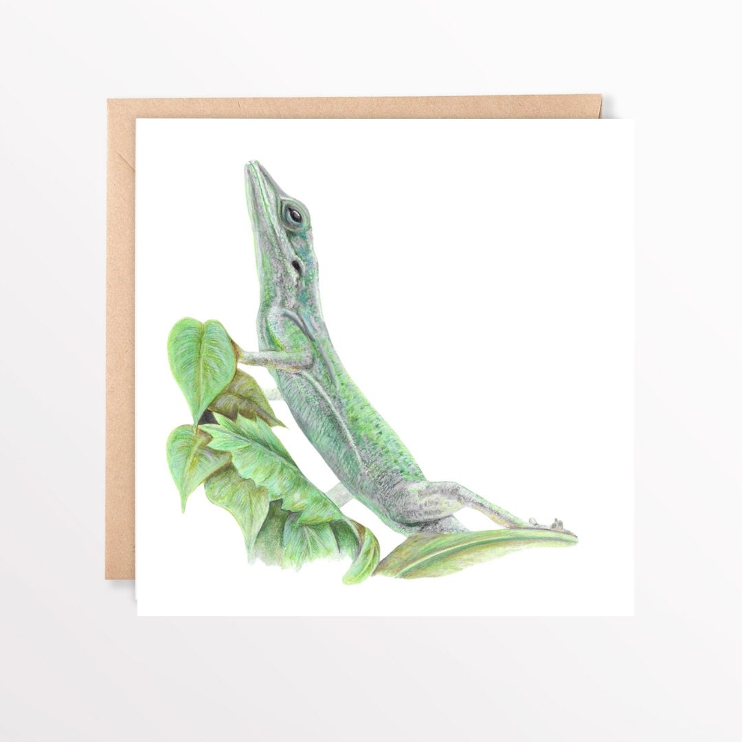Greeting card with a green lizard illustration on a white background and brown envelope
