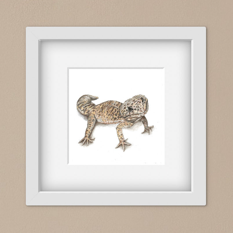 Leopard Gecko 6 x 6 Mounted Print