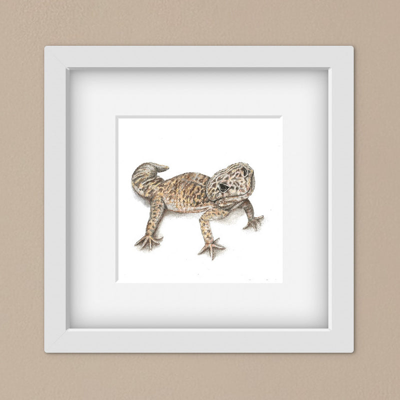 Leopard Gecko 6 x 6 Mounted Print