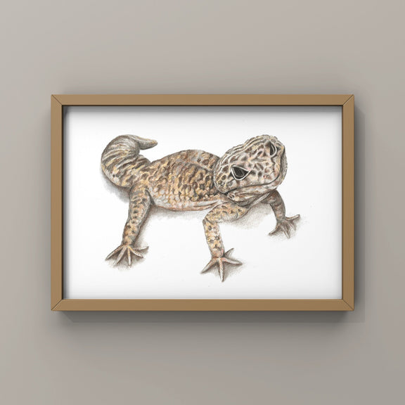 Framed artwork of a Leopard Gecko lizard on a beige wall