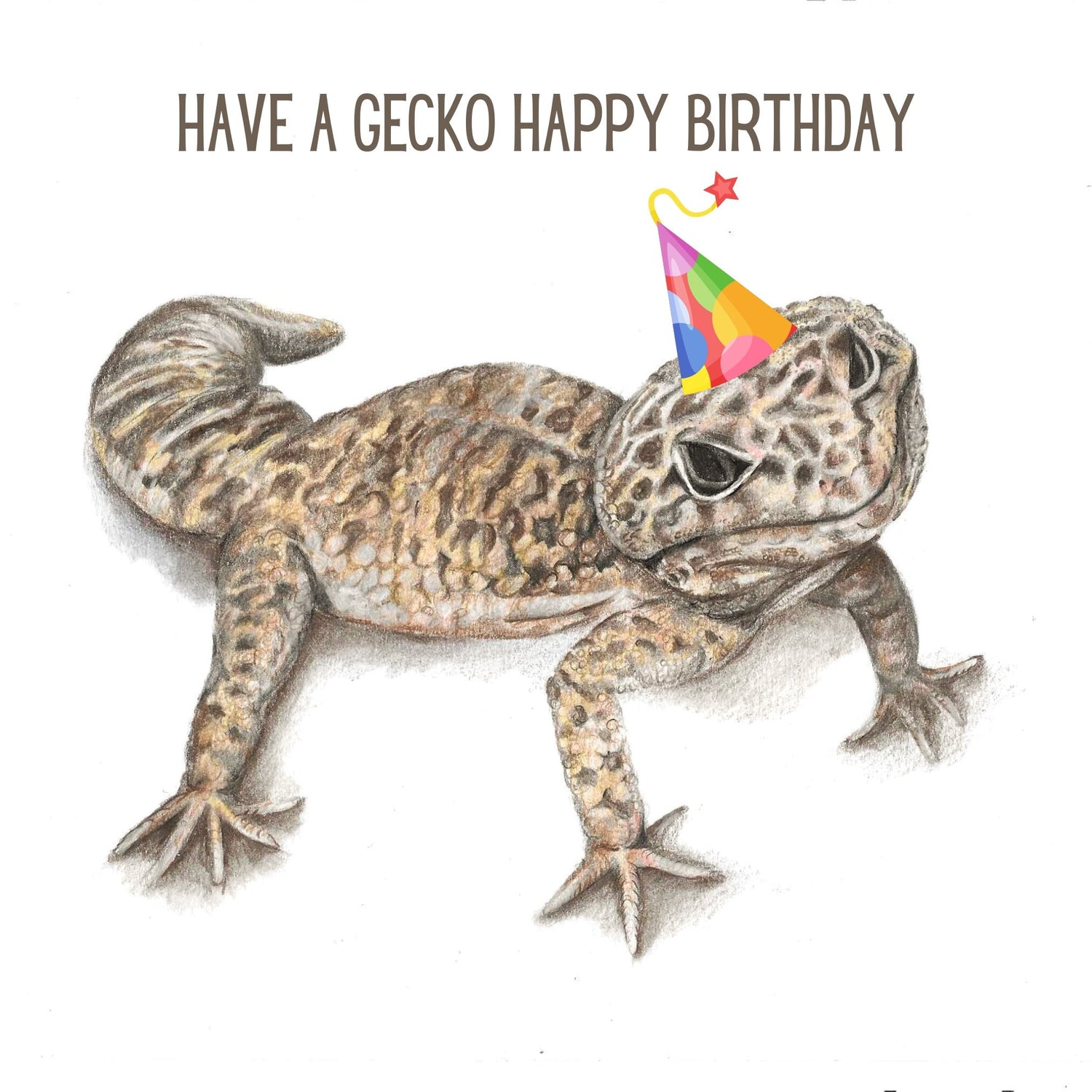 Gecko wearing a party hat with text 'Have a Gecko Happy Birthday' on a white background