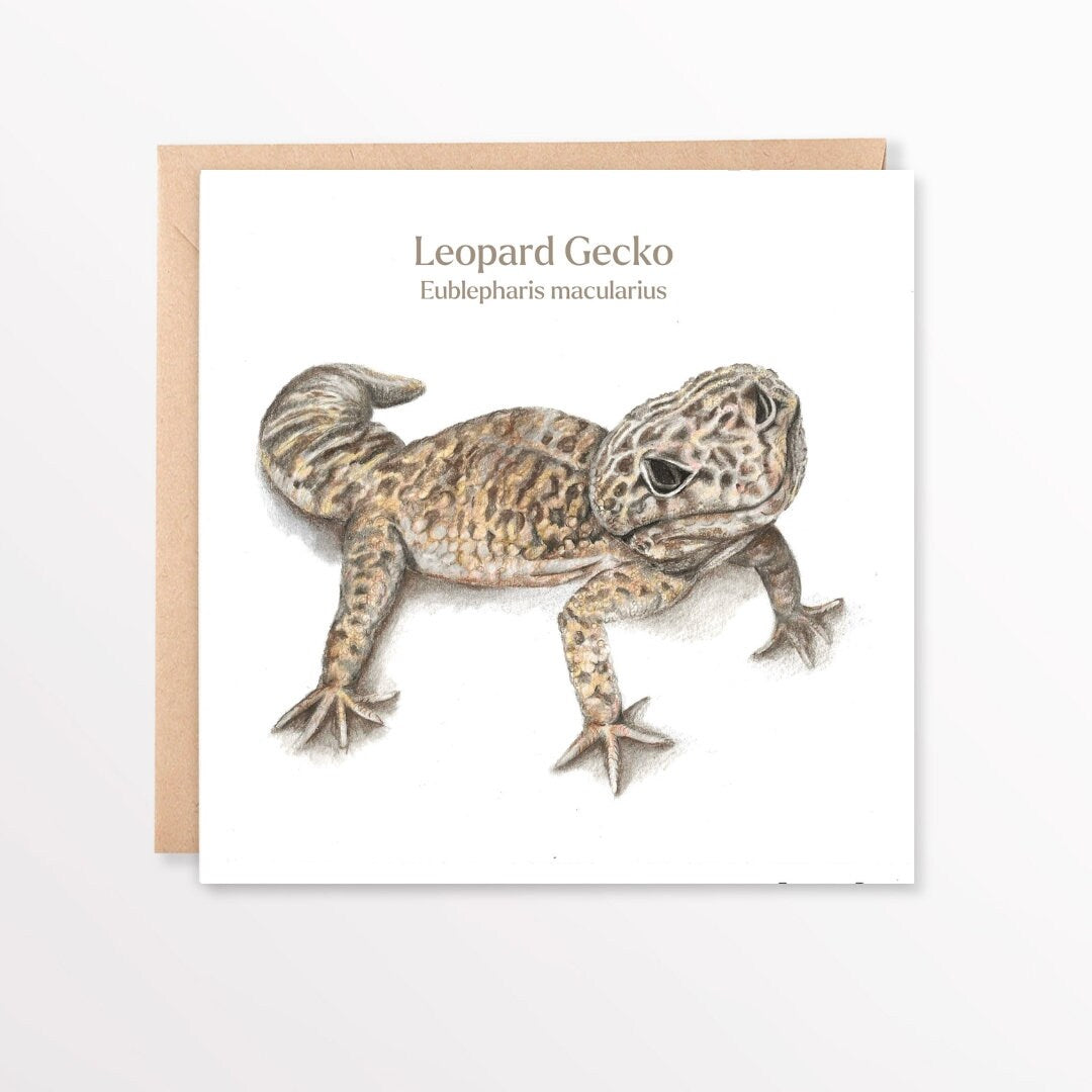 Card with a leopard gecko illustration and text on a white background