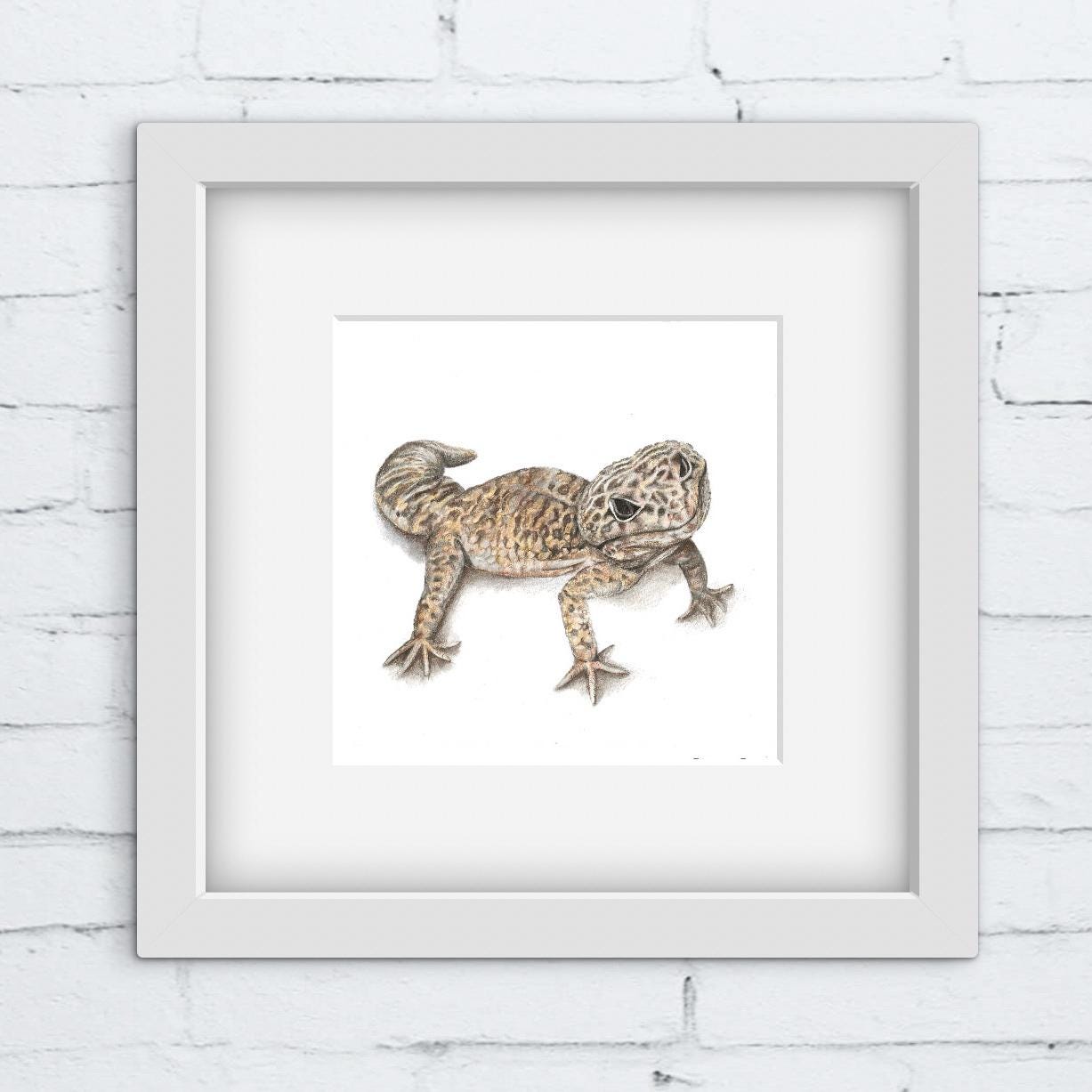 Framed colour pencil artwork of a gecko lizard on a white brick wall background