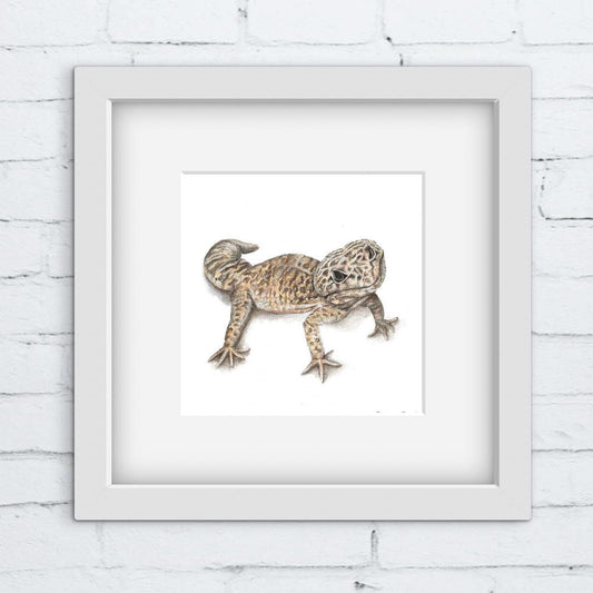 Framed colour pencil artwork of a gecko lizard on a white brick wall background