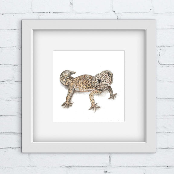 Framed colour pencil artwork of a gecko lizard on a white brick wall background