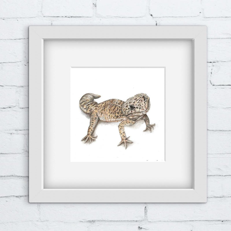 Framed colour pencil artwork of a gecko lizard on a white brick wall background