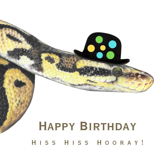 Snake wearing a birthday hat with colorful polka dots and 'Happy Birthday' text on a white background.