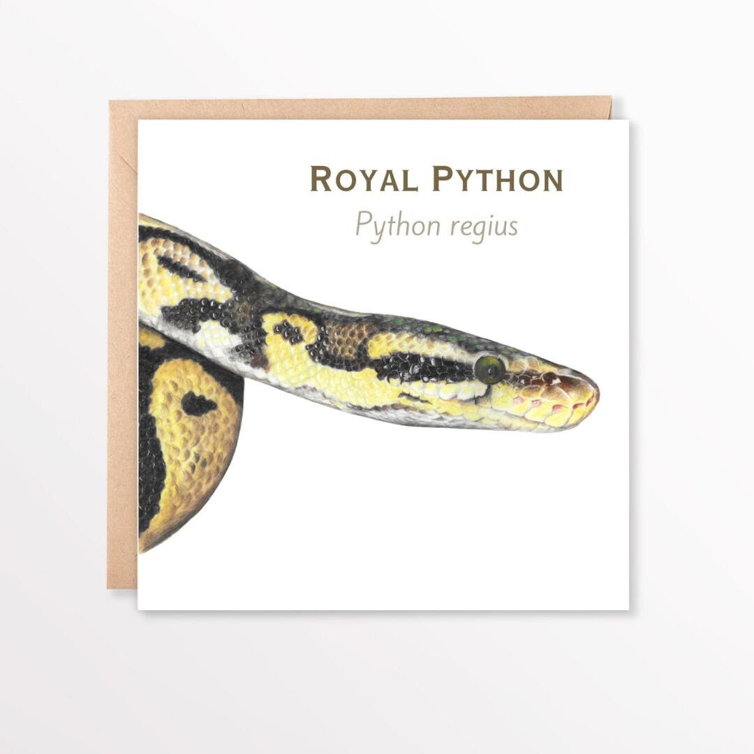 Card with a illustration of a royal python and text on a white background with envelope