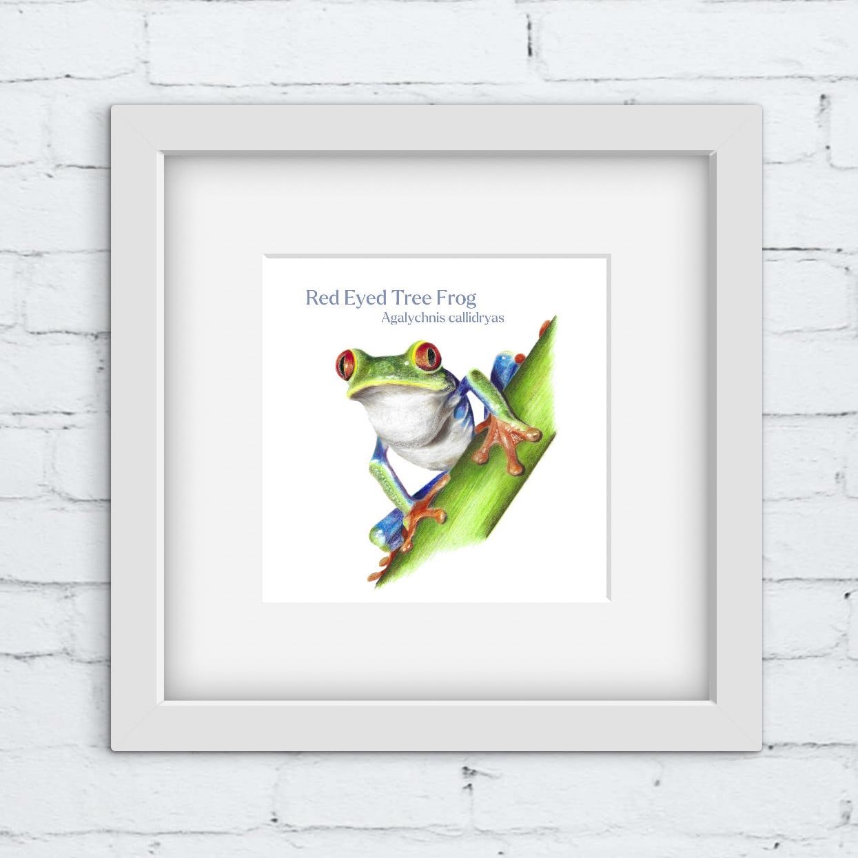 Framed artwork of a red-eyed tree frog drawing on a white brick wall background
