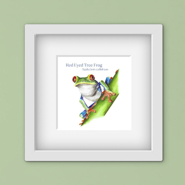 Framed artwork of a red-eyed tree frog on a green leaf against a light green background
