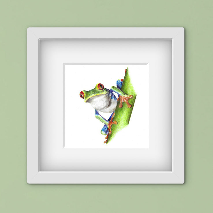 Framed artwork of a colourful tree frog on a green wall