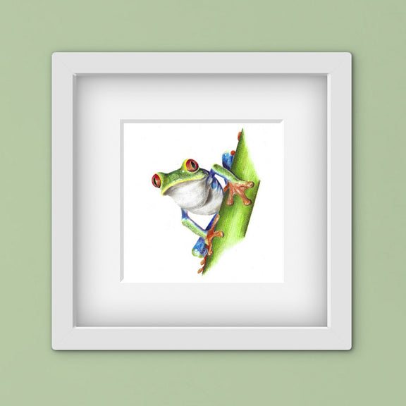 Framed artwork of a colourful tree frog on a green wall