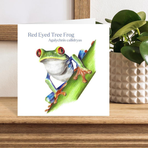 Card with a red-eyed tree frog illustration on a wooden surface with a plant in the background.