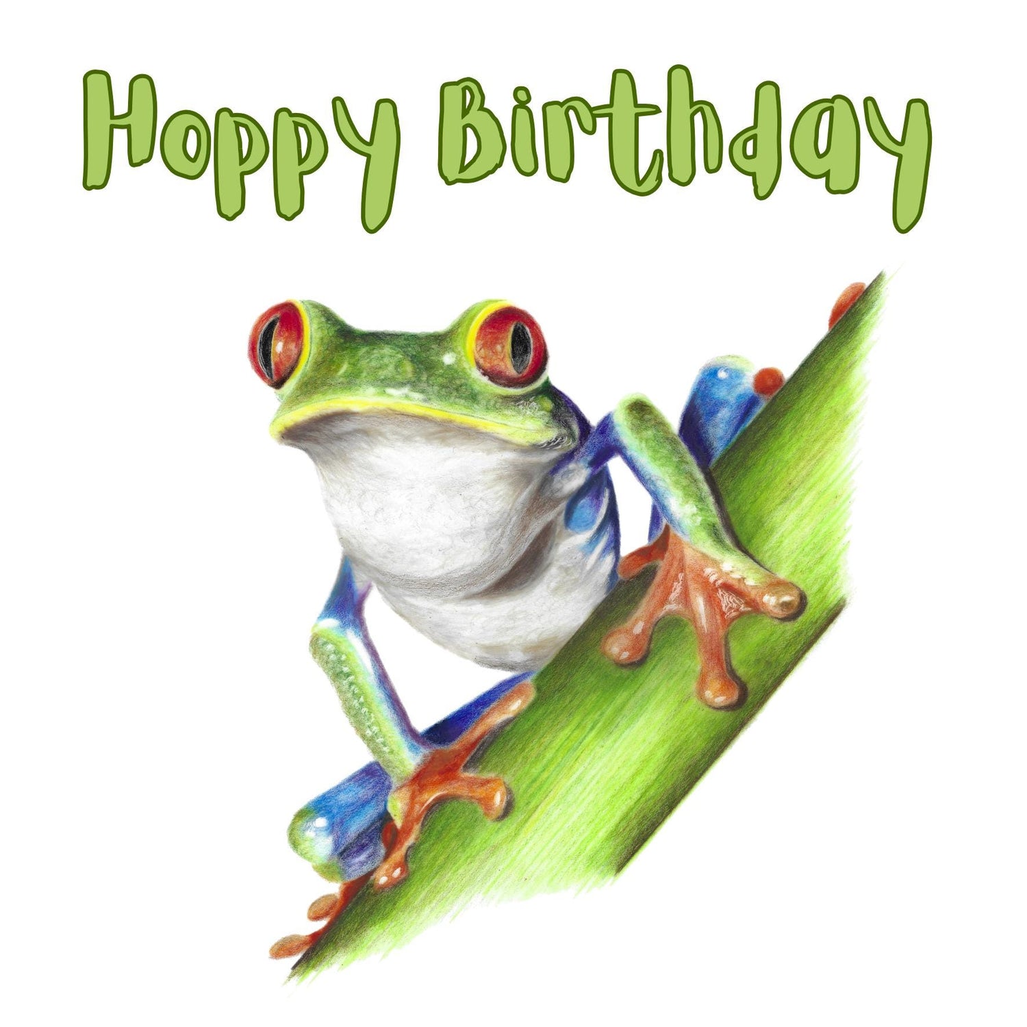 Colorful tree frog on a leaf with 'Hoppy Birthday' text