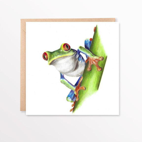 Colorful tree frog illustration on a white background with a brown envelope.