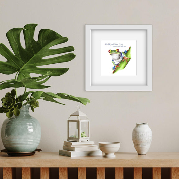 Framed artwork of a red-eyed tree frog on a wall above a wooden shelf with decorative items and plant.