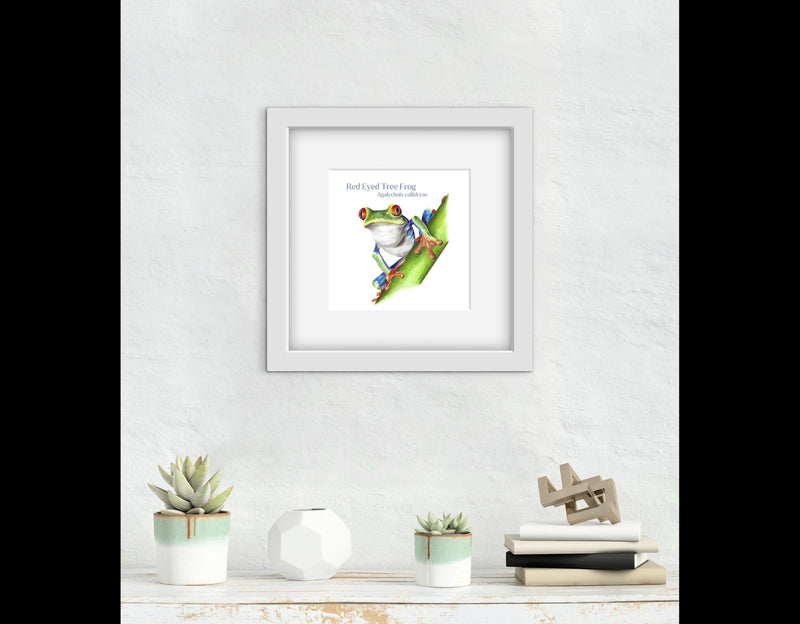 Framed artwork of a hand drawn frog on a leaf with text, displayed on a white wall above a shelf.