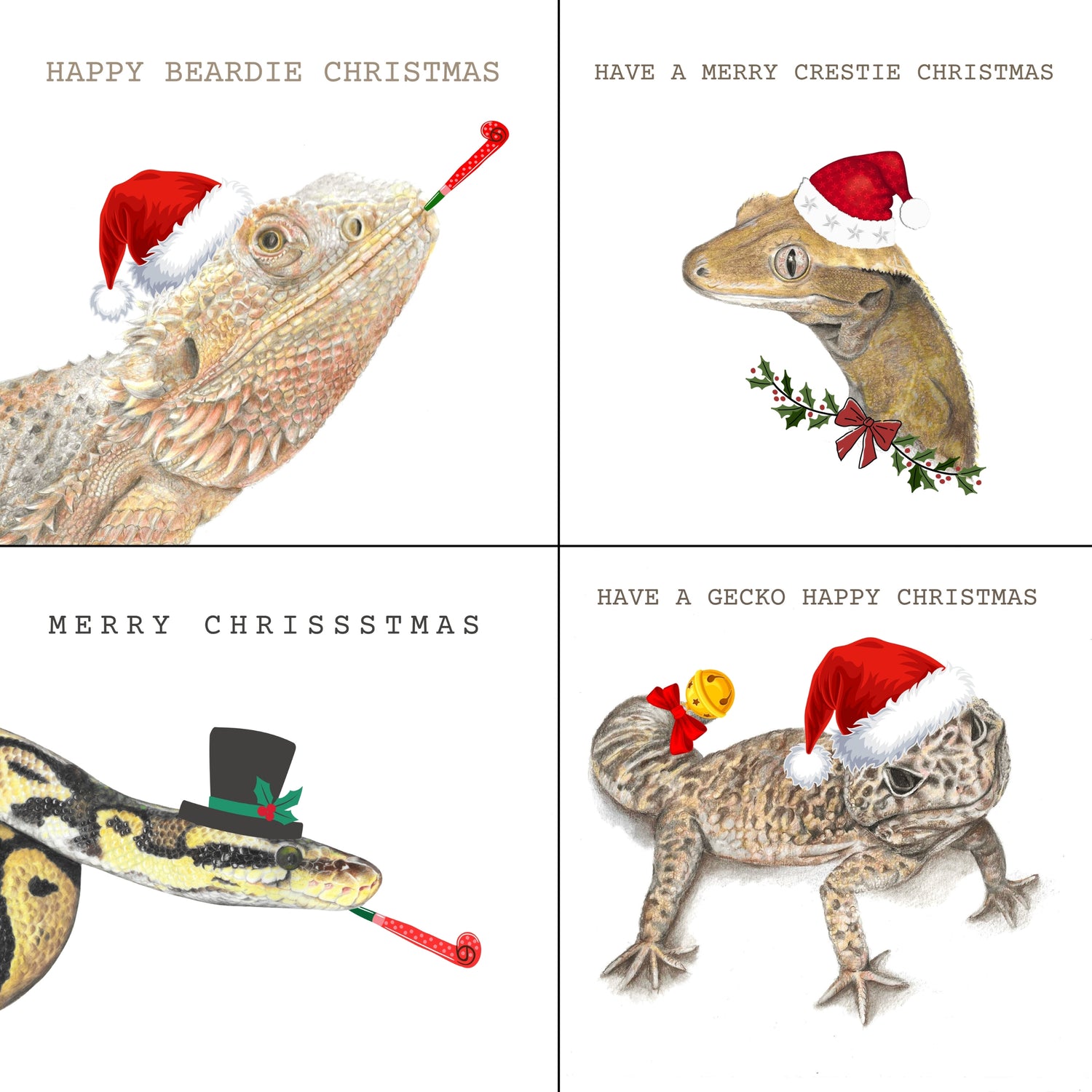 Image with text section