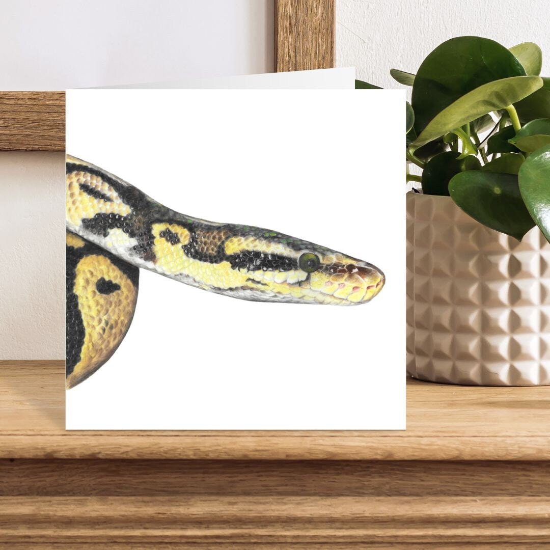 Card with a snake colour pencil drawing on a wooden surface with a plant in the background