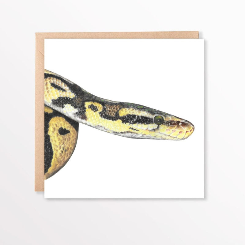 Greeting card with a snake illustration on a white background with envelope