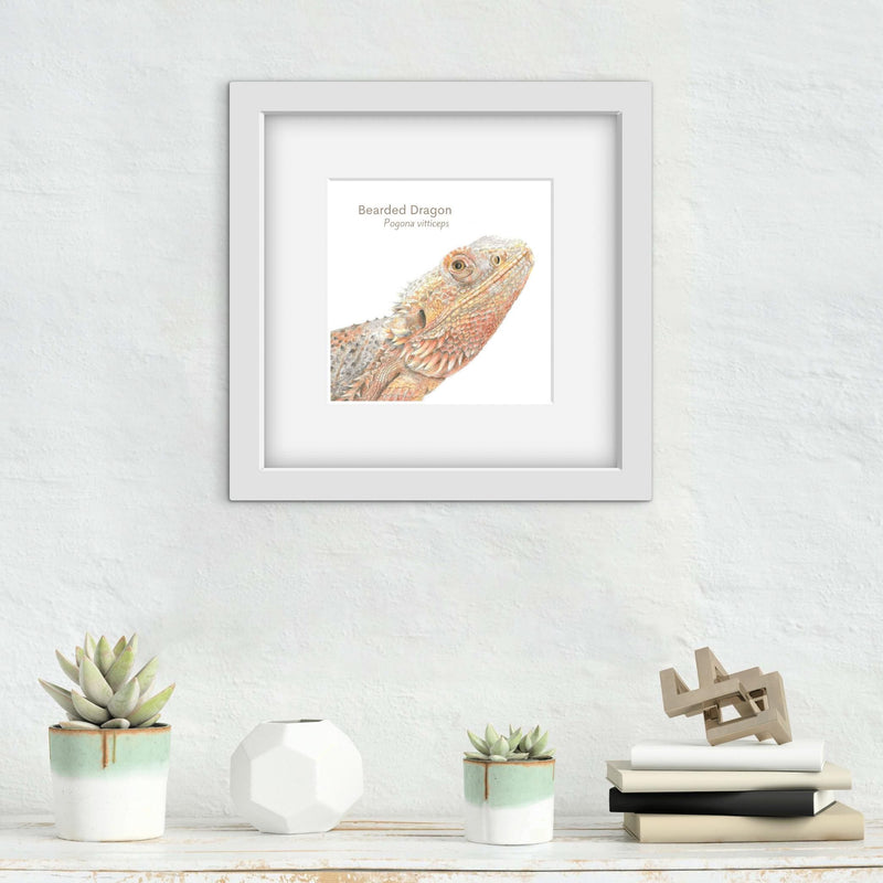 Framed colour pencil artwork of a bearded dragon on a white wall with decorative items below.