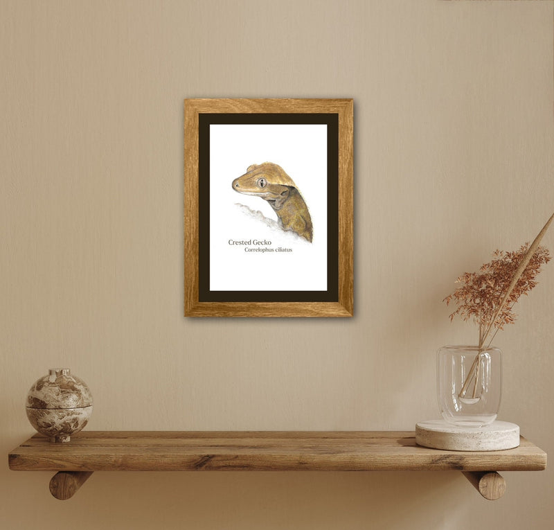 Framed artwork of a Crested Gecko on a beige wall above a wooden shelf with decorative items.