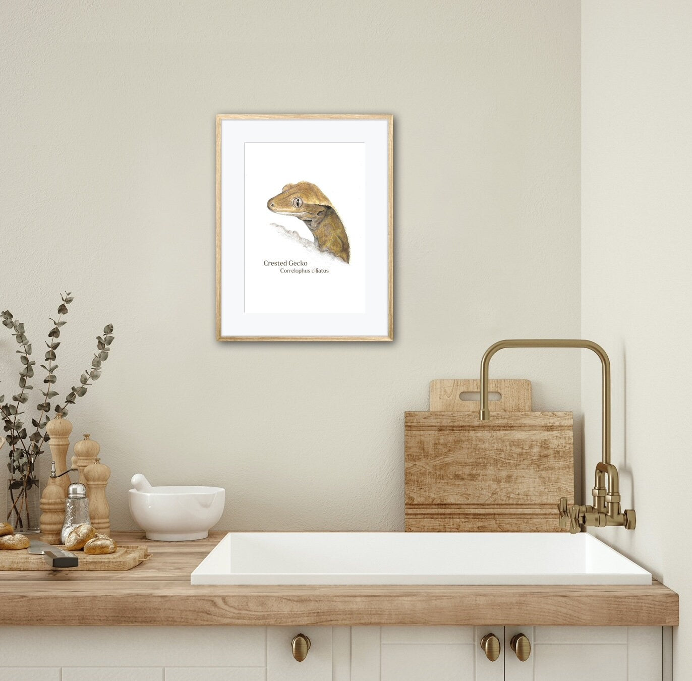 Kitchen interior with a sink, gold faucet, and framed crested gecko artwork on the wall.