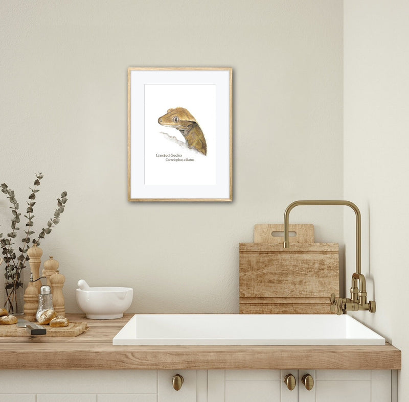 Kitchen interior with a sink, gold faucet, and framed crested gecko artwork on the wall.