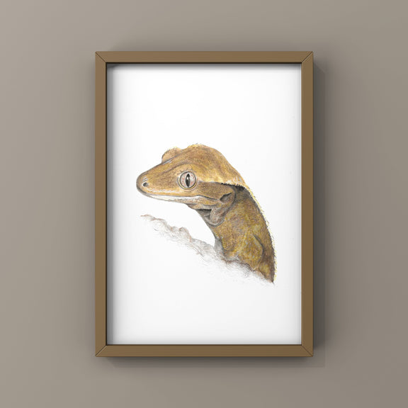 Framed artwork of a crested gecko lizard on a white background