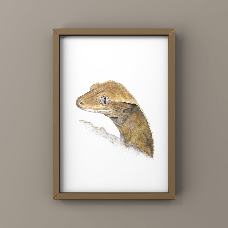 Framed artwork of a crested gecko lizard on a white background