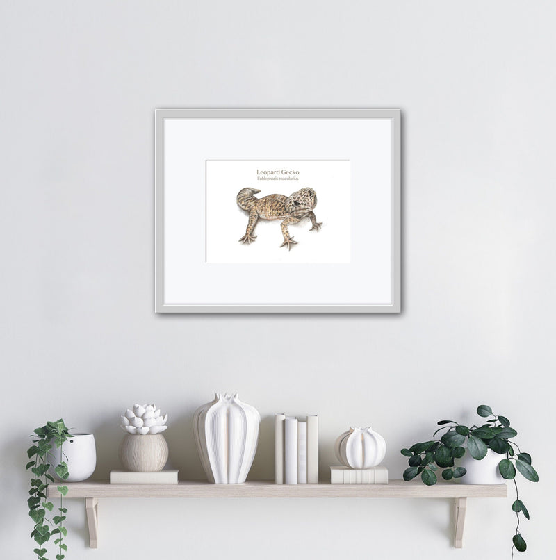 Leopard Gecko Latin A4 Print